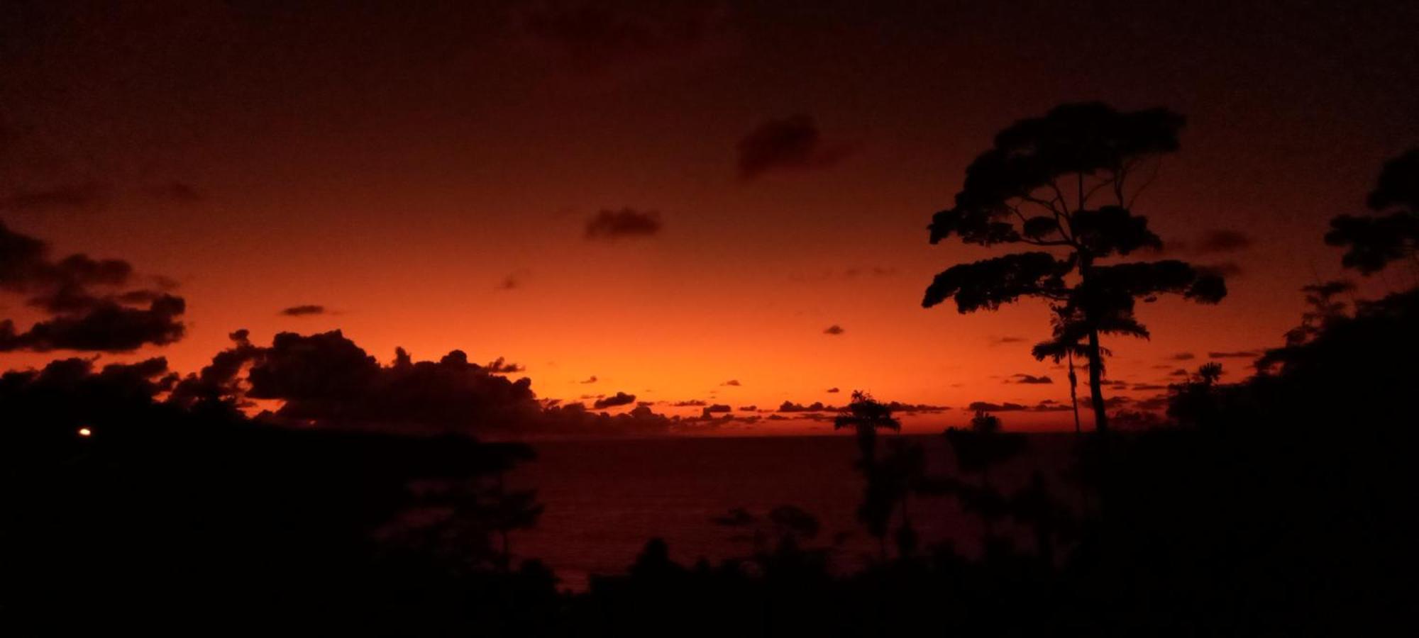 Bella Vista Corcovado Drake Bay Exterior foto